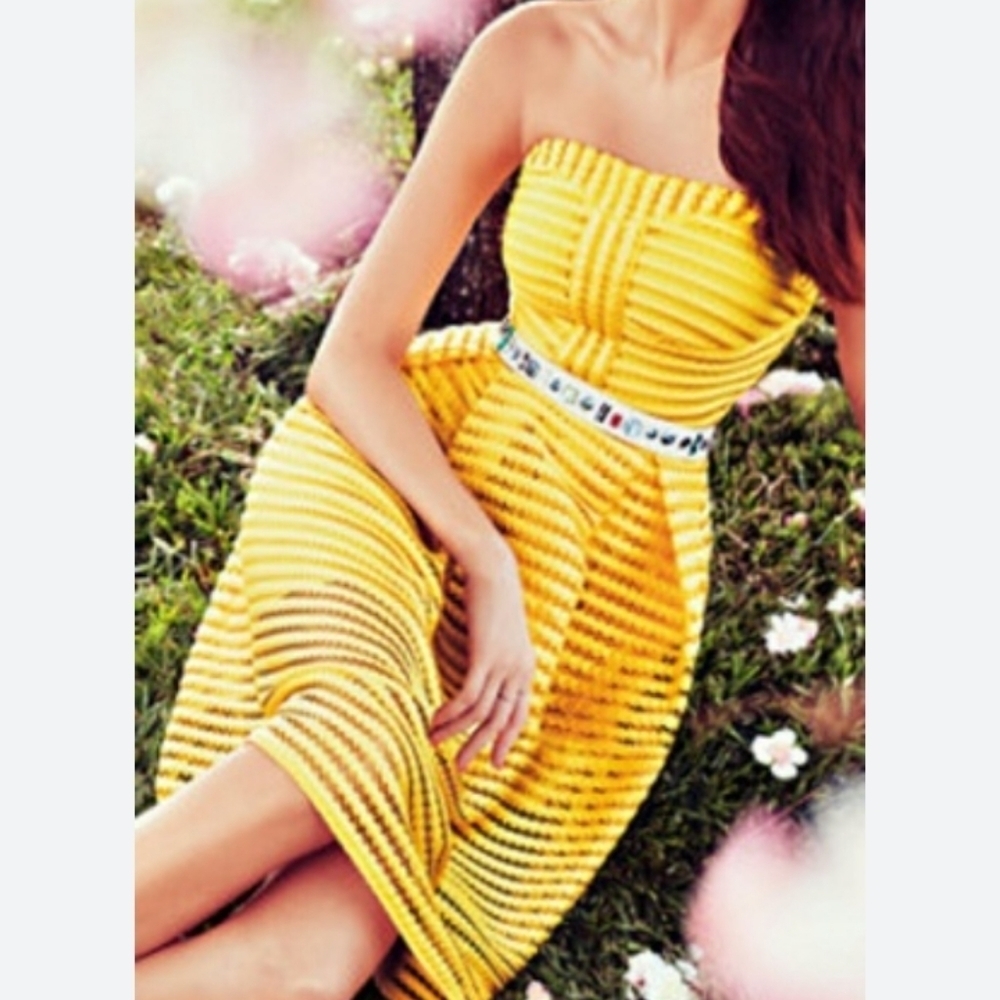 New York & Company Strapless Eyelet Pleated Dress  New With Tags Sz 12 - Picture 8 of 8